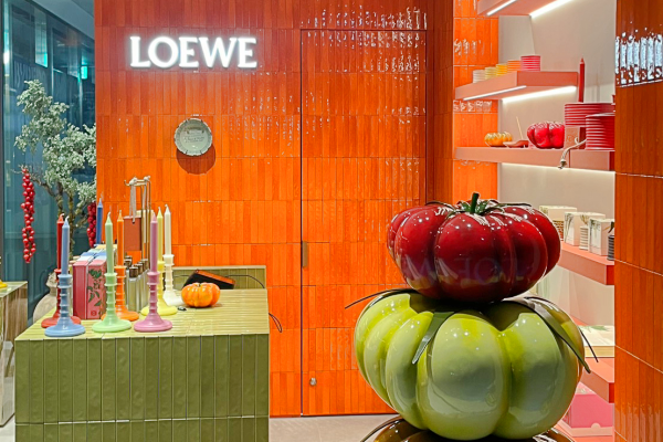 LOEWE施工事例